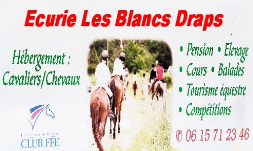 ecurie les Blancs Draps a braine