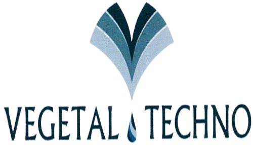 vegetal techno a braine